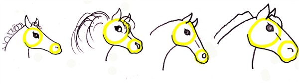 drawing a horse head - foal, pony, thoroughbred, draft