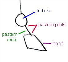 draw a horse hoof stick figure