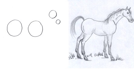 horse drawing step two