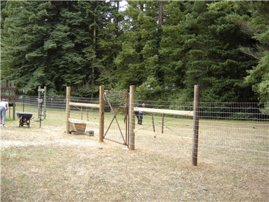 Home made horse paddock