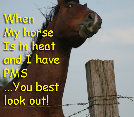 When my horse is in heat...