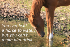 You can lead a horse to water...