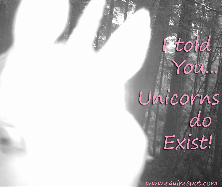 told you...Unicorns do exist!