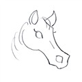 Learn how to draw a horse head