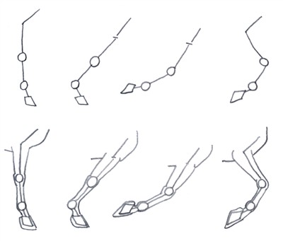 Dynamic Anatomy For Artists - Drawing The Muscles Of The Leg - Design Cuts