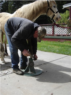 Horse shoeing is alot easier on a flat level surface!