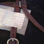 Face armor attached to bridle
