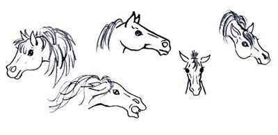 drawing a horse - the mane
