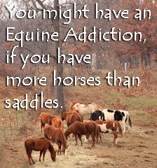 You might have an equine..
