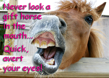 Never look a gift horse...