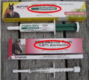 Horse wormer active ingredients