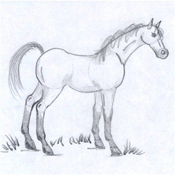 Line Drawing Horse On White Background Stock Vector (Royalty Free)  148618193 | Shutterstock