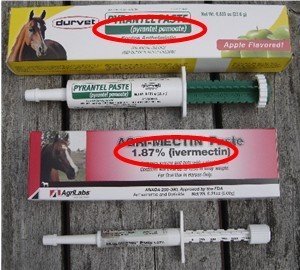 Horse dewormers active ingredients