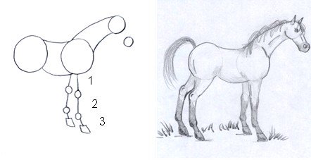 horse drawing step four