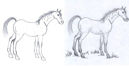 Drawings in Pencil of a Horse Printable. Drawing Equestrian - Etsy Australia