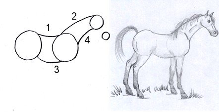 Horse drawing - Garry's Pencil Drawings