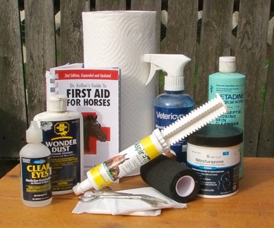 Build a 'better than store bought' horse first aid kit.