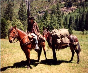A horse pack trip in the mountains.