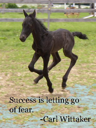 Success is letting go...