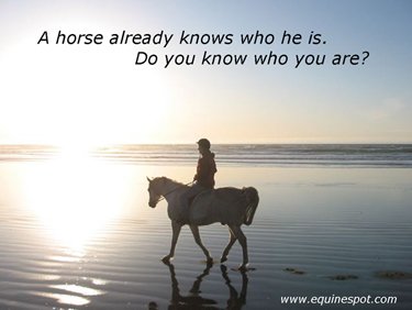 A horse already knows who he is. Do you know who you are?