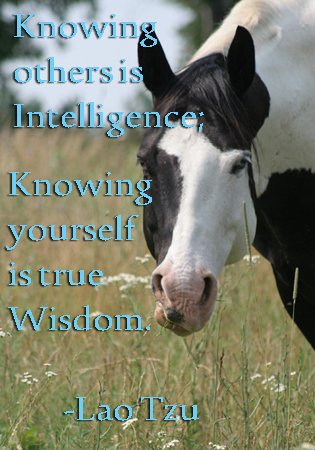 Knowing others is intelligence...