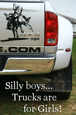 Silly boys..truck are for girls!