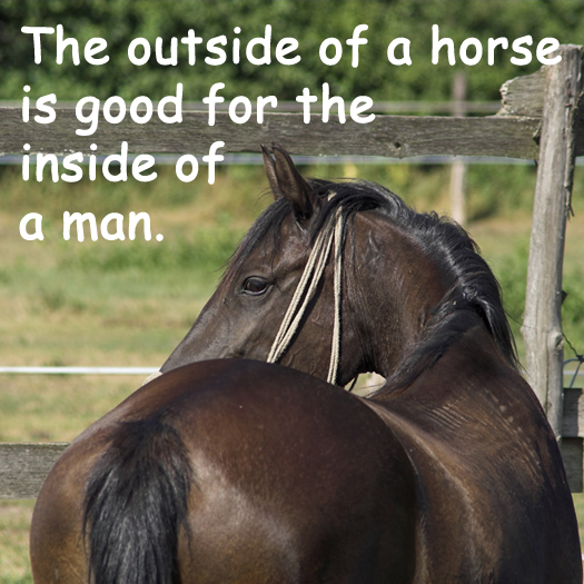 The outside of a horse...