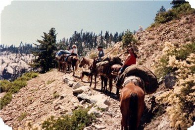 Packing with horses in the Trinity Mountains