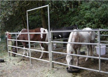 Equine camps supply the corrals, you supply the feed containers