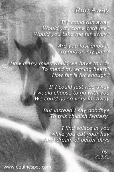 Run Away...A Horse Poem