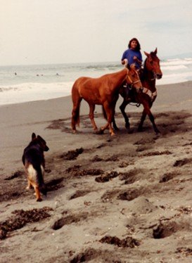 A deep sand workout for the horses