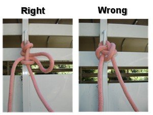 A good slip knot vs. a bad horse tie knot