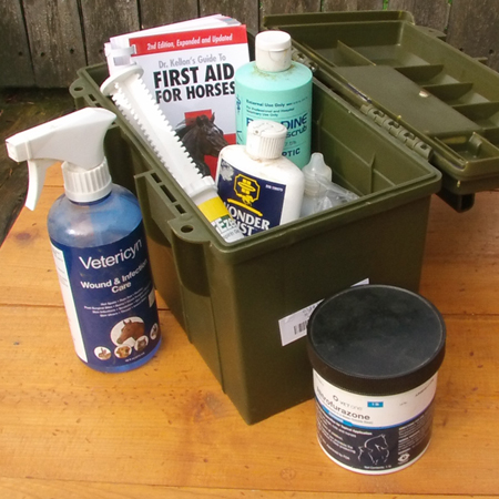 Ammo cans make great truck storage containers for your horse first aid kit.