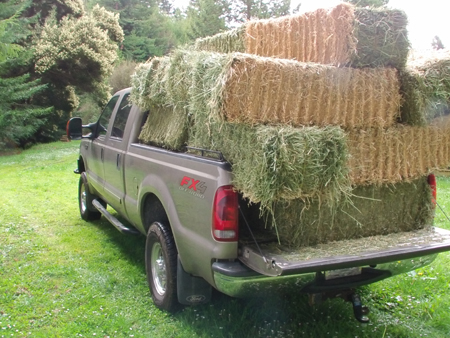 Truck loaded with horse hay.